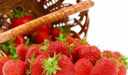 草莓 精彩爆料视频大全,精彩爆料视频大盘点