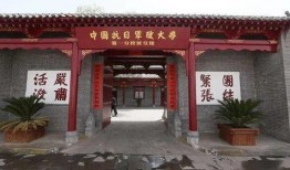 旅游网红被爆料视频曝光,揭秘网红背后的真实旅行生活